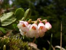 20050505 150842_1.jpg